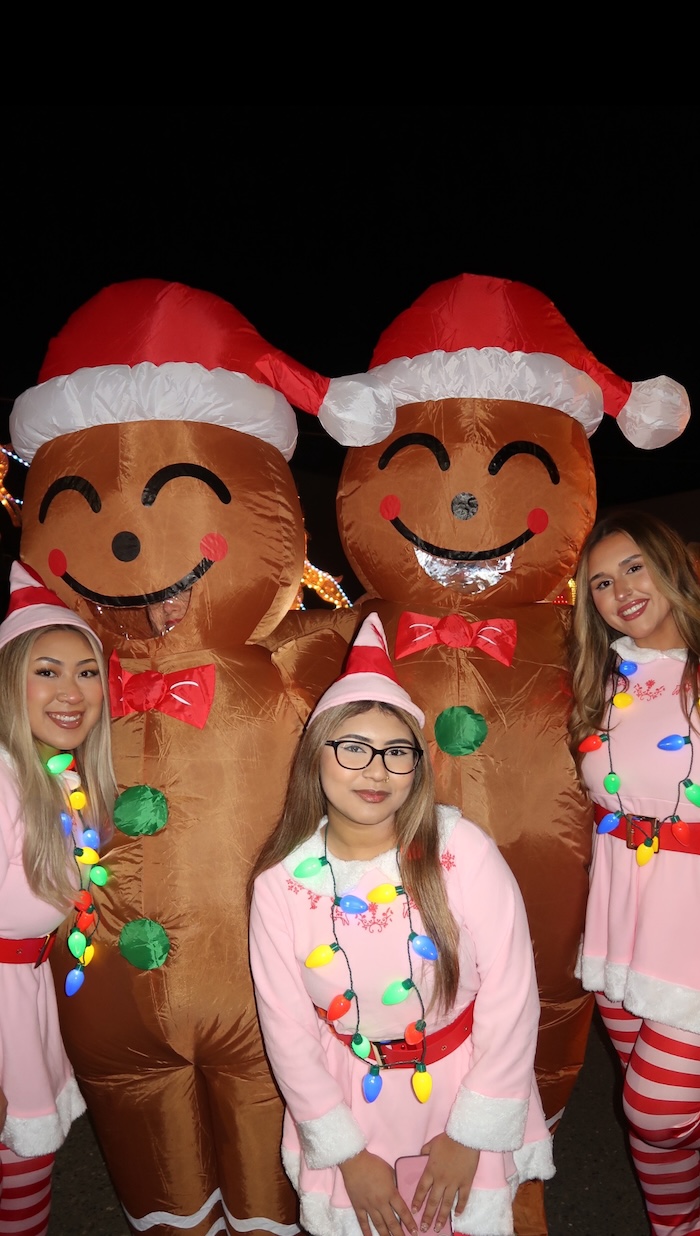 Lodi Parade of Light 2